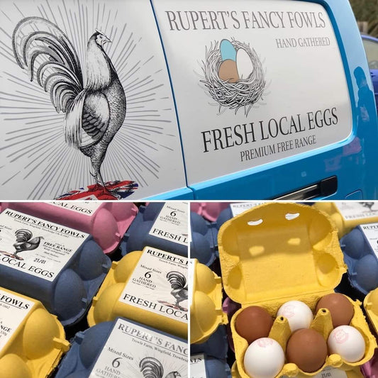 Rupert's Fancy Fowls
