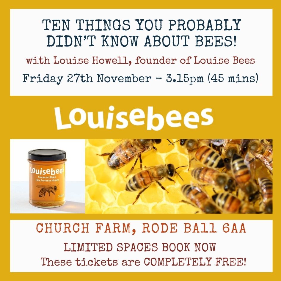 Friday 27th November 3.15pm - Louise Bees Talk FREE