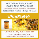 Friday 27th November 3.15pm - Louise Bees Talk FREE